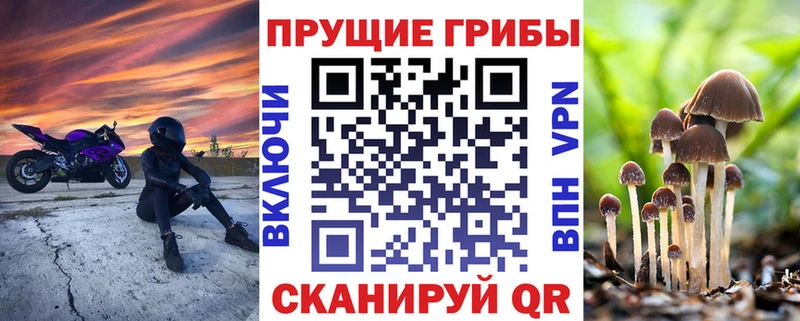 Галлюциногенные грибы Magic Shrooms  как найти   Нефтекамск 