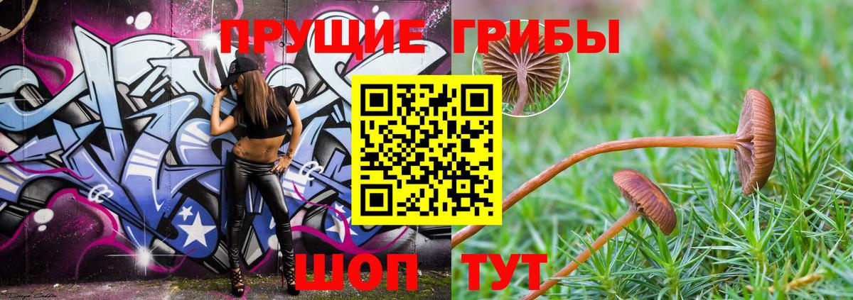 Галлюциногенные грибы MAGIC MUSHROOMS  Вход с VPN  Нефтекамск 